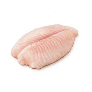Tilapia