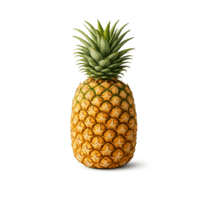 Fruit