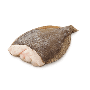 Scholfilet
