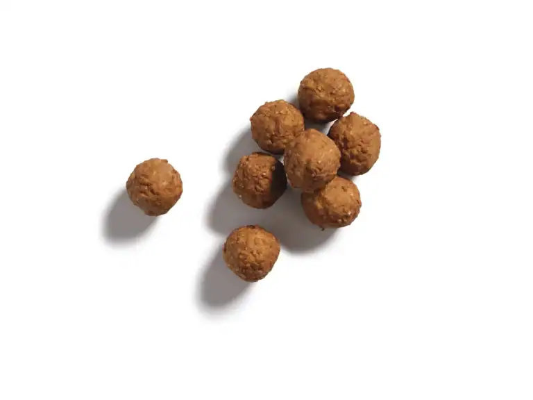 Spaanse Gehaktballetjes 20G