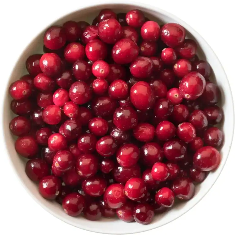 Veenbessen (Cranberry Klein 5 Kilo