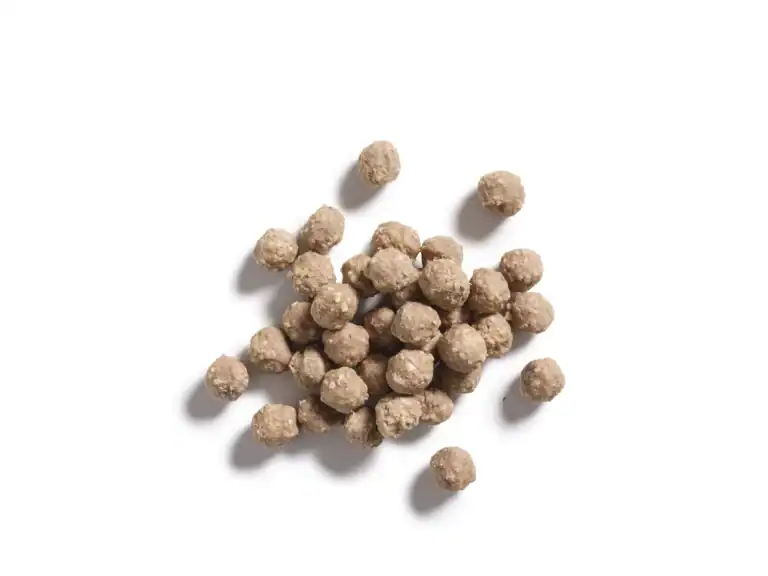 Rundersoepballen 2G