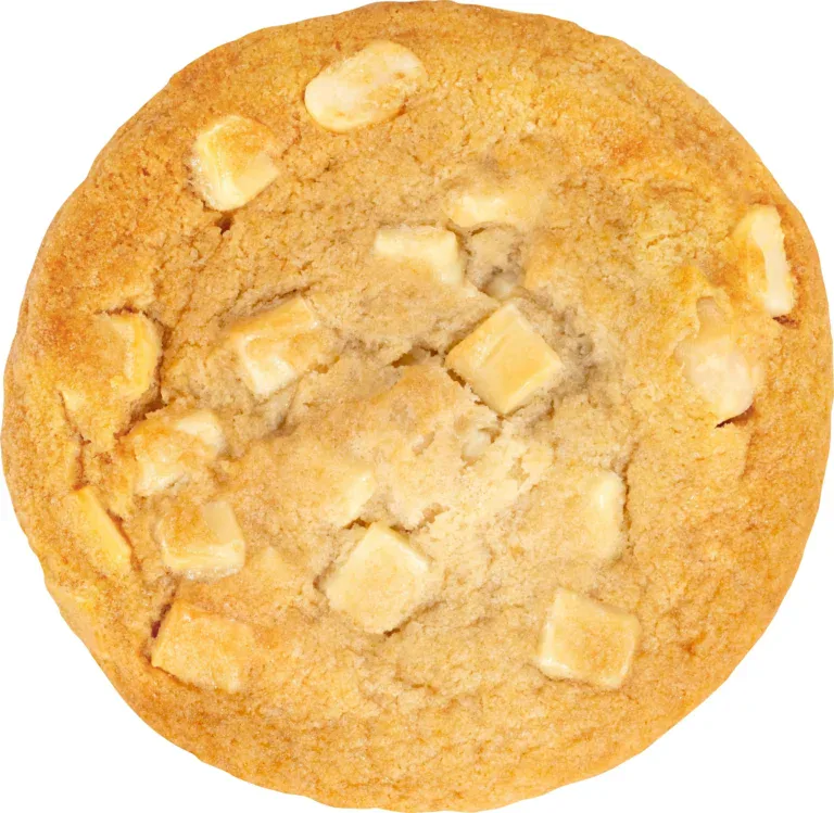 Macadamia White Choc Cookie Puck